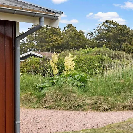 Nyaraló Tv1164-hirtshals-tjorneklitten-4 Hirtshals